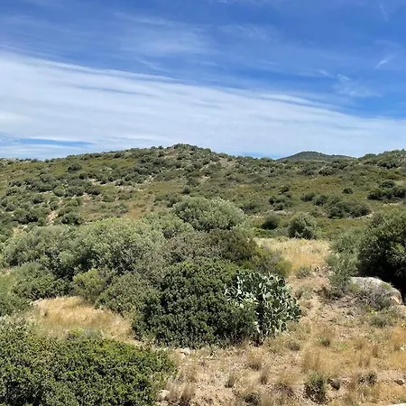 Panoramico